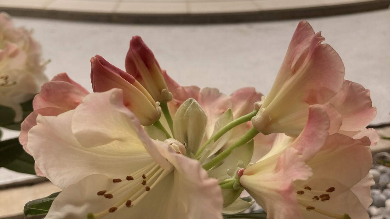 Photo of Outdoor in Longrayez