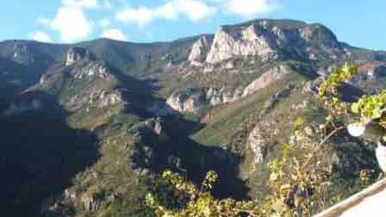 Photo of Others in Nohedes