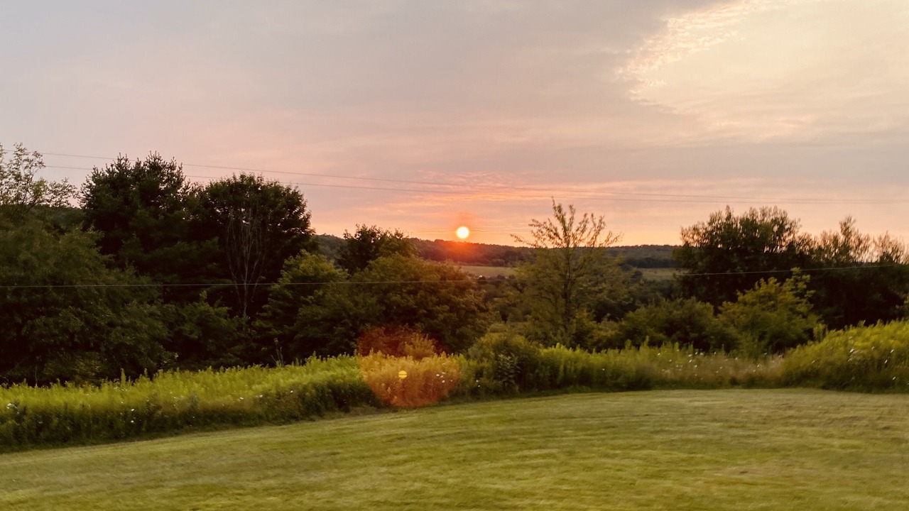 Photo of Others in Willet