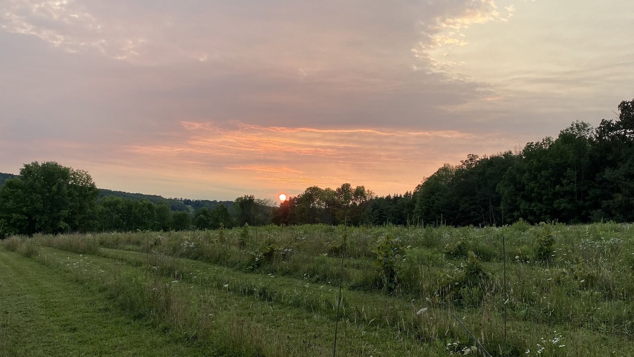 Photo of Outdoor in Willet