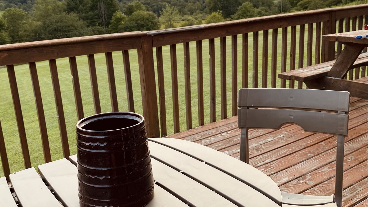 Photo of Outdoor in Willet