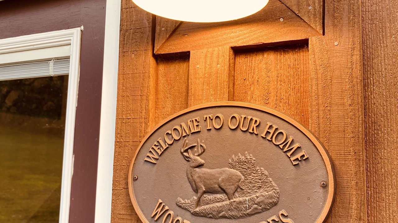 Photo of Outdoor in Willet