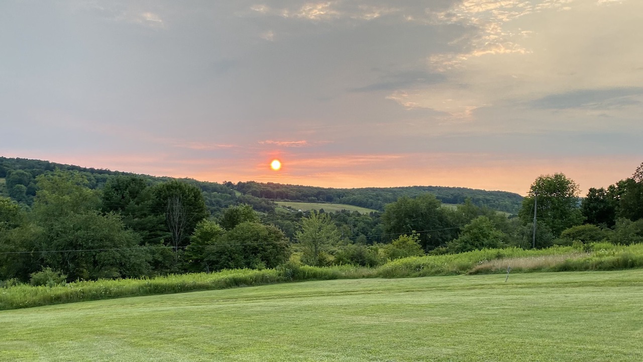 Photo of Others in Willet