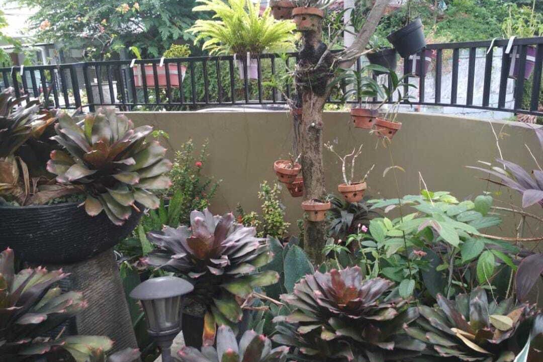 Photo of Outdoor in South Tangerang