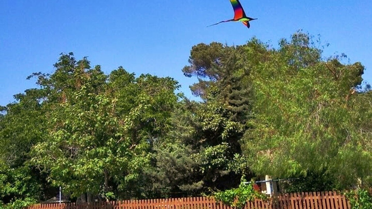 Photo of Outdoor in Cherry Valley