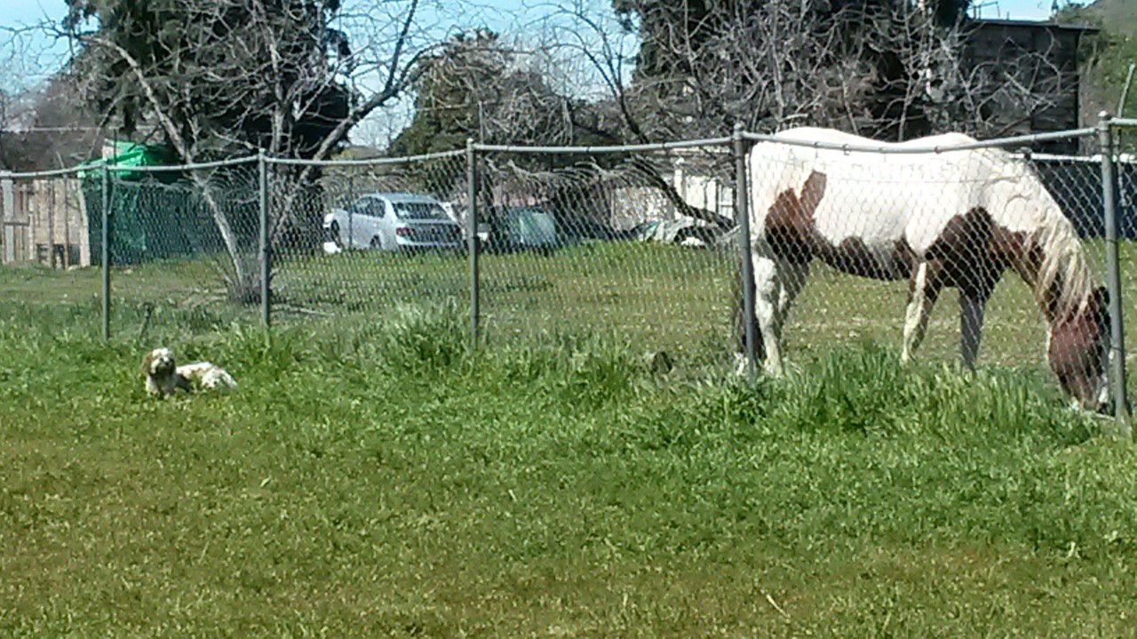 Photo of Outdoor in Cherry Valley