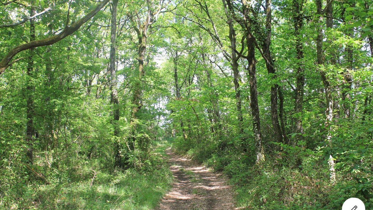 Photo of Outdoor in Esparsac