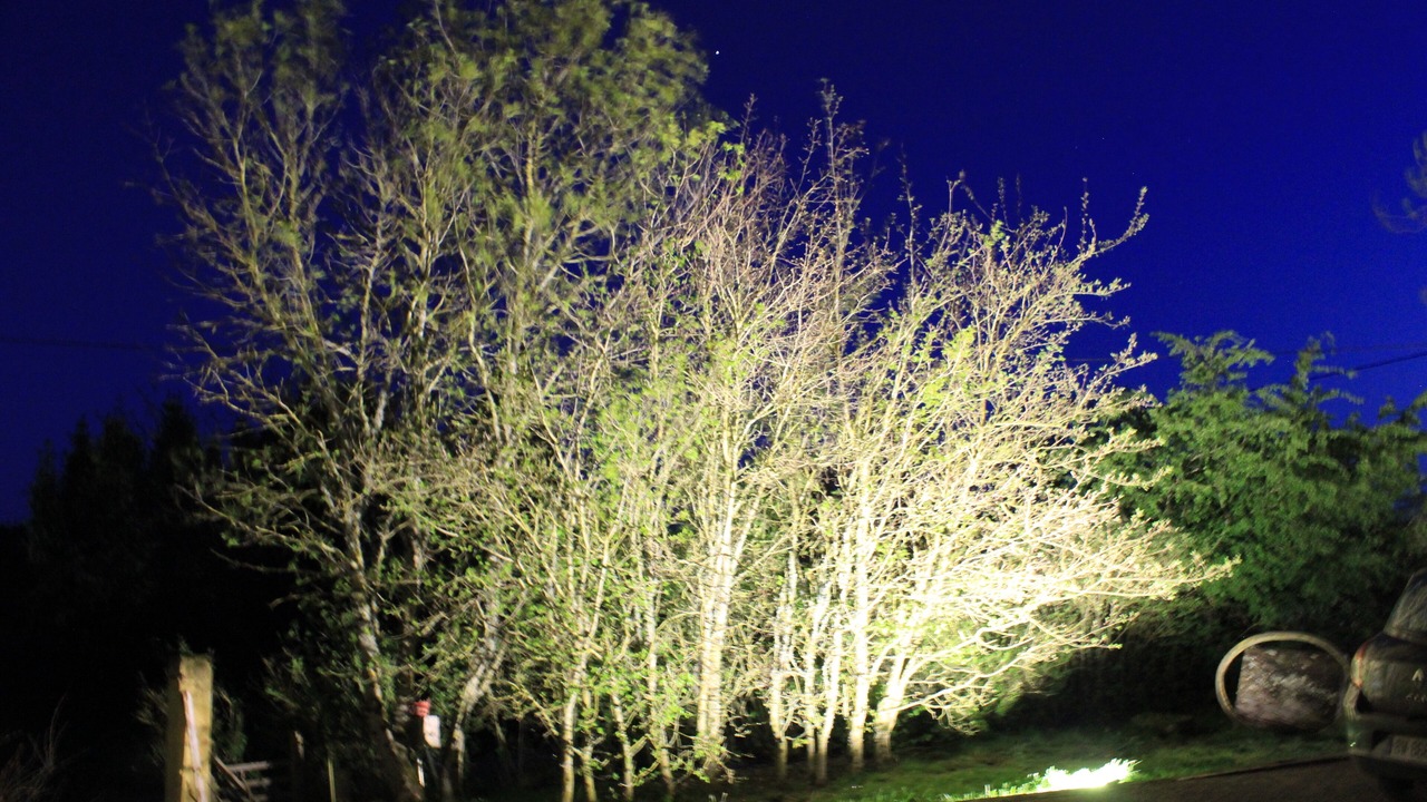 Photo of Outdoor in Esparsac
