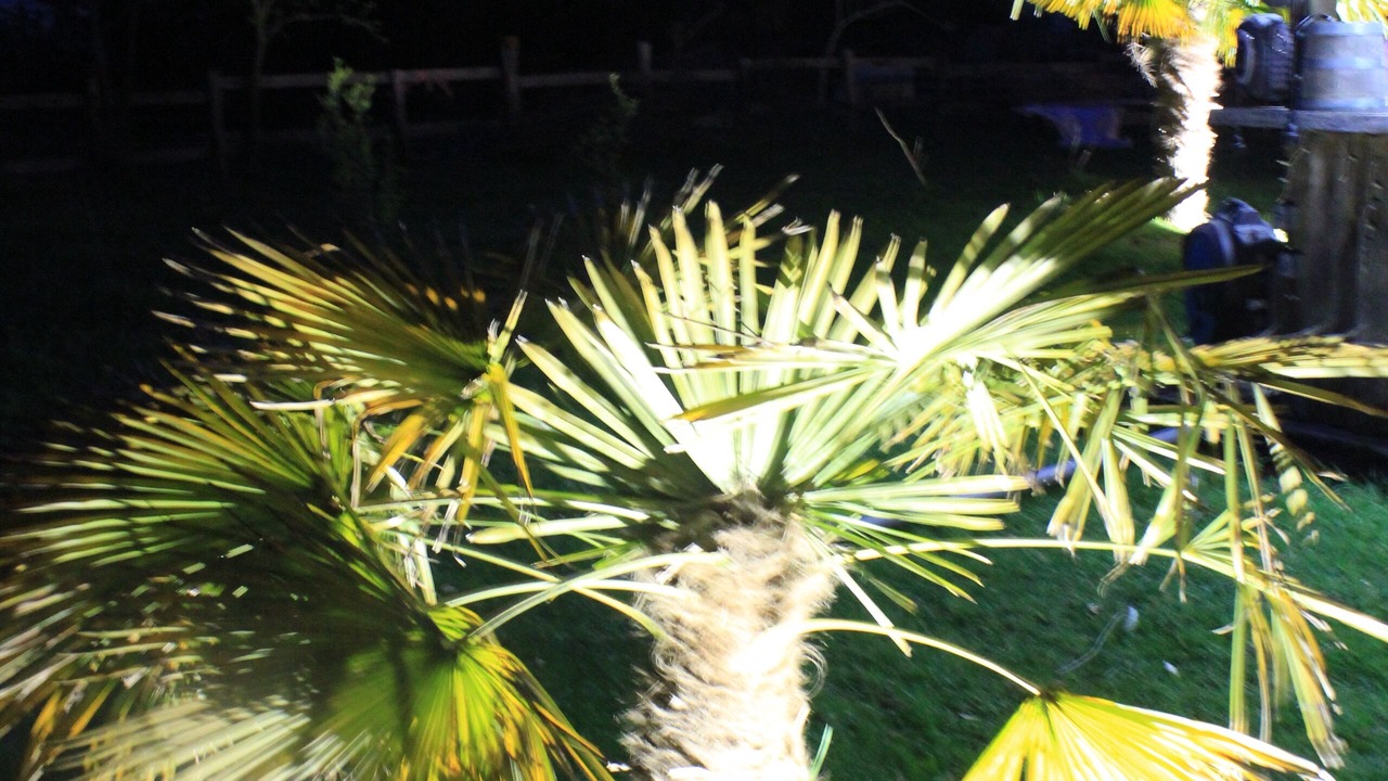 Photo of Outdoor in Esparsac
