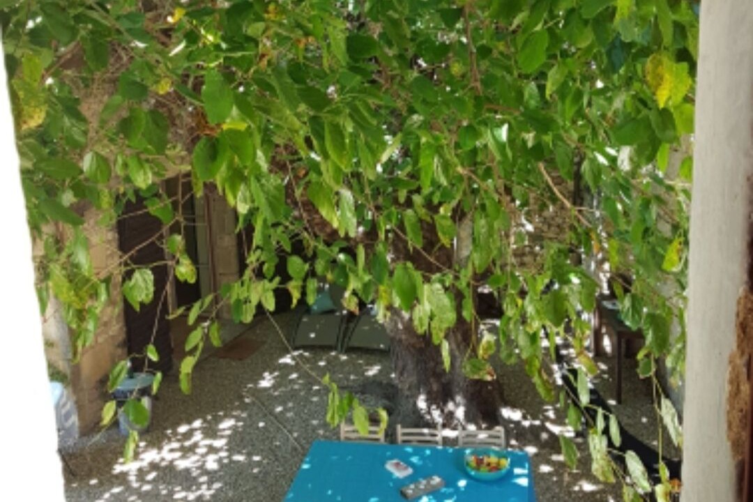 Photo of Outdoor in Collias