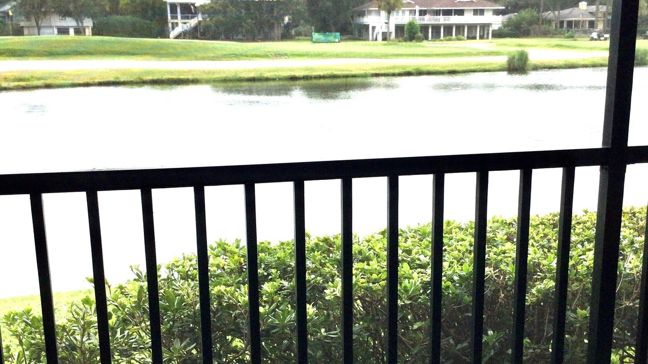 Photo of Outdoor in St. Simons Island