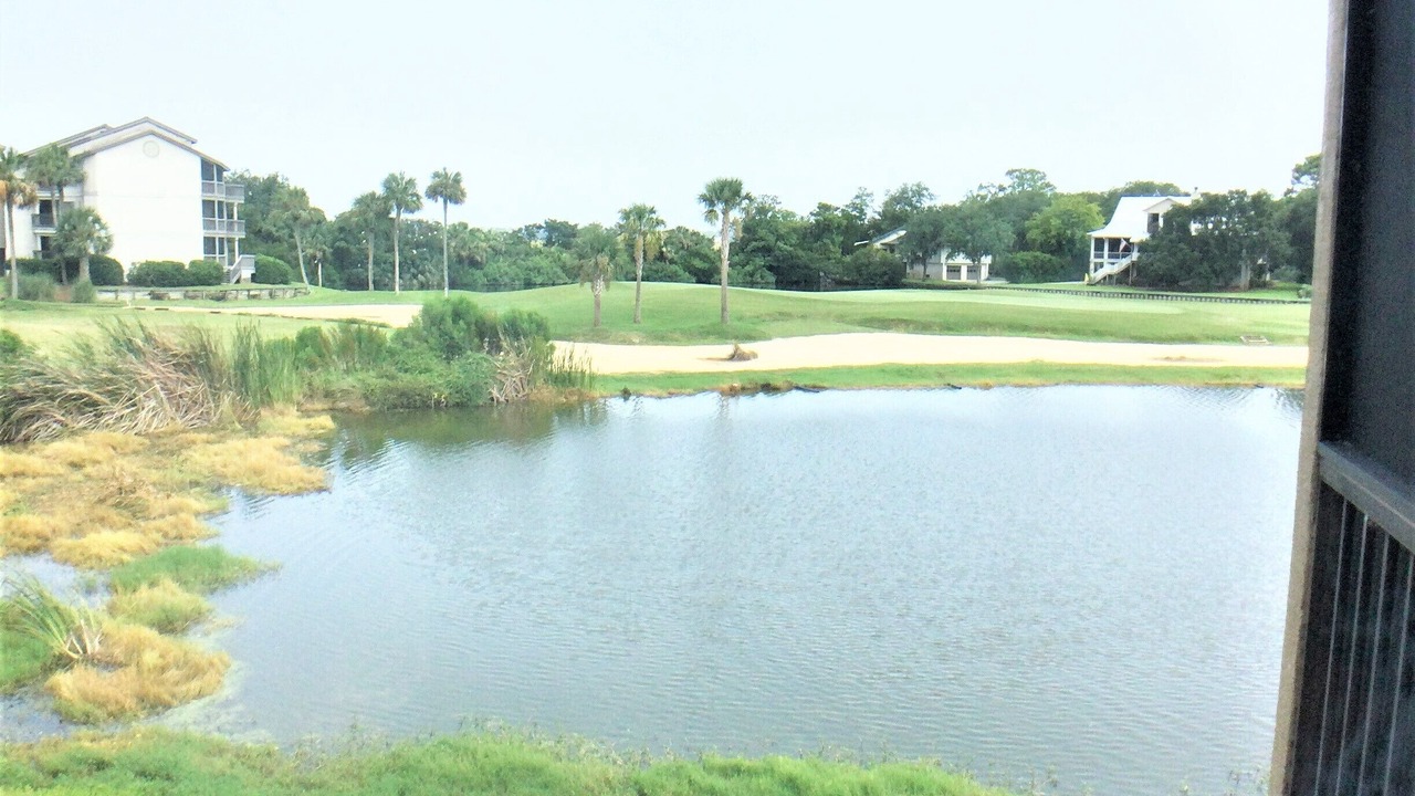 Photo of Others in St. Simons Island