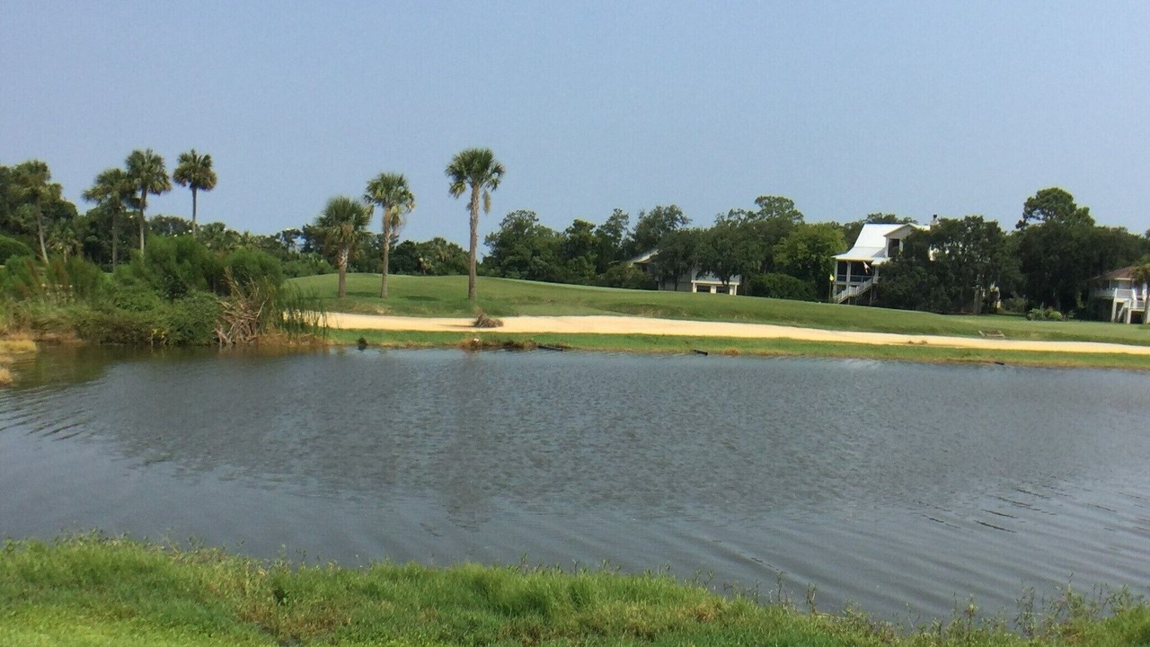 Photo of Others in St. Simons Island