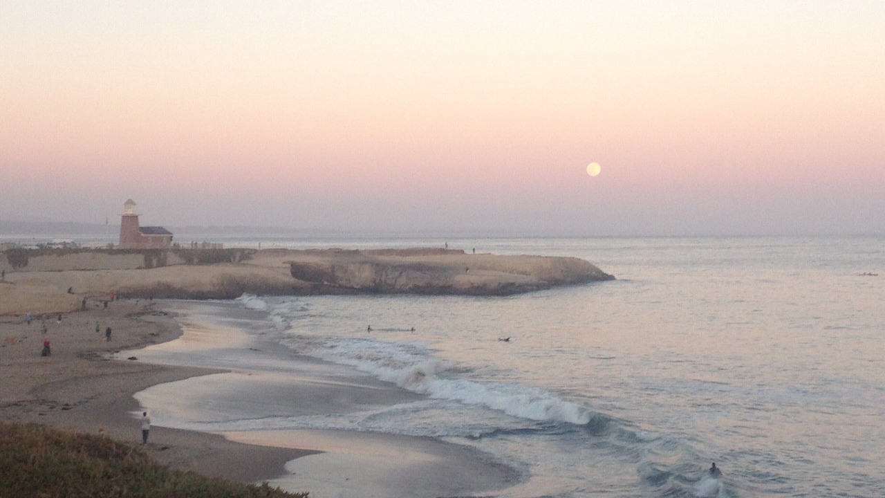 Photo of Others in Westside Santa Cruz