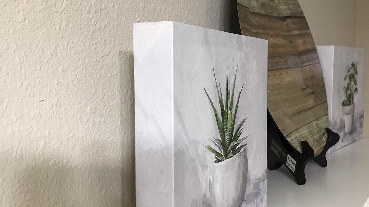 Photo of Others in North Druid Hills