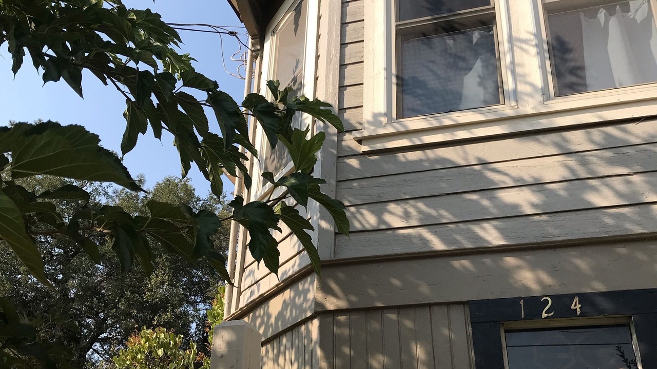 Photo of Outdoor in Auburn
