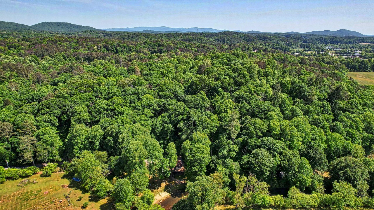 Photo of Outdoor in Ellijay