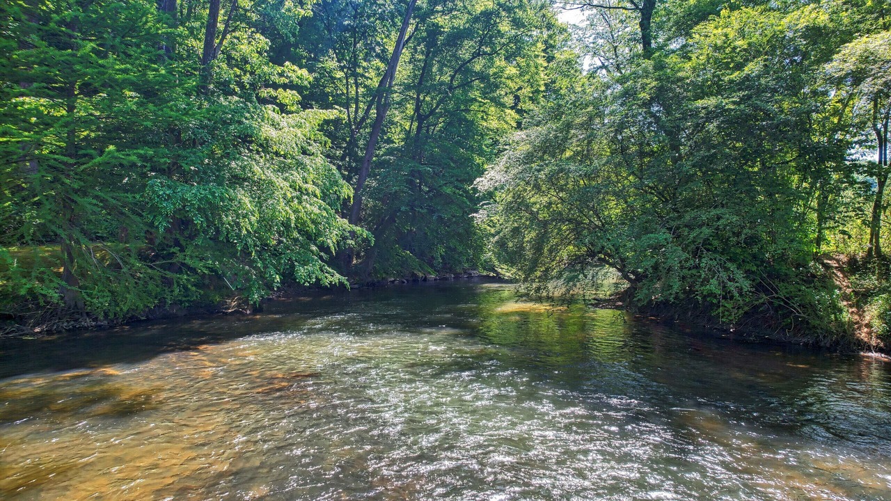 Photo of Others in Ellijay