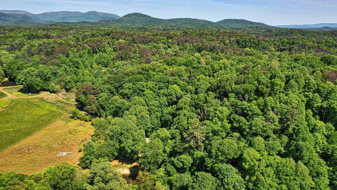 Photo of Outdoor in Ellijay