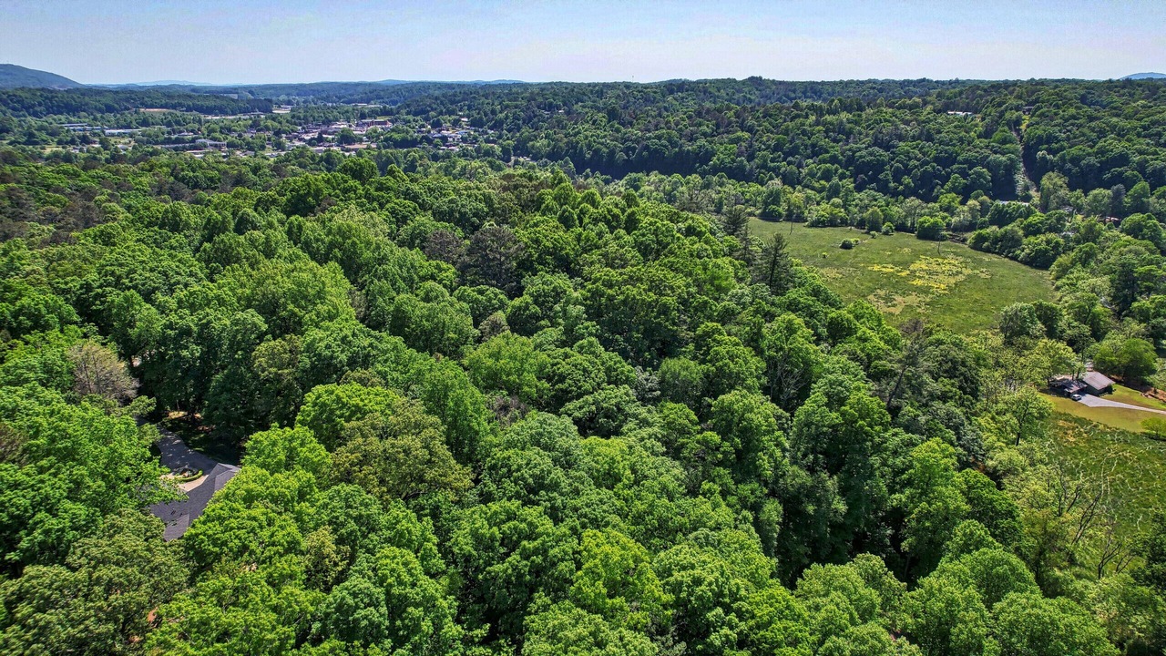 Photo of Others in Ellijay