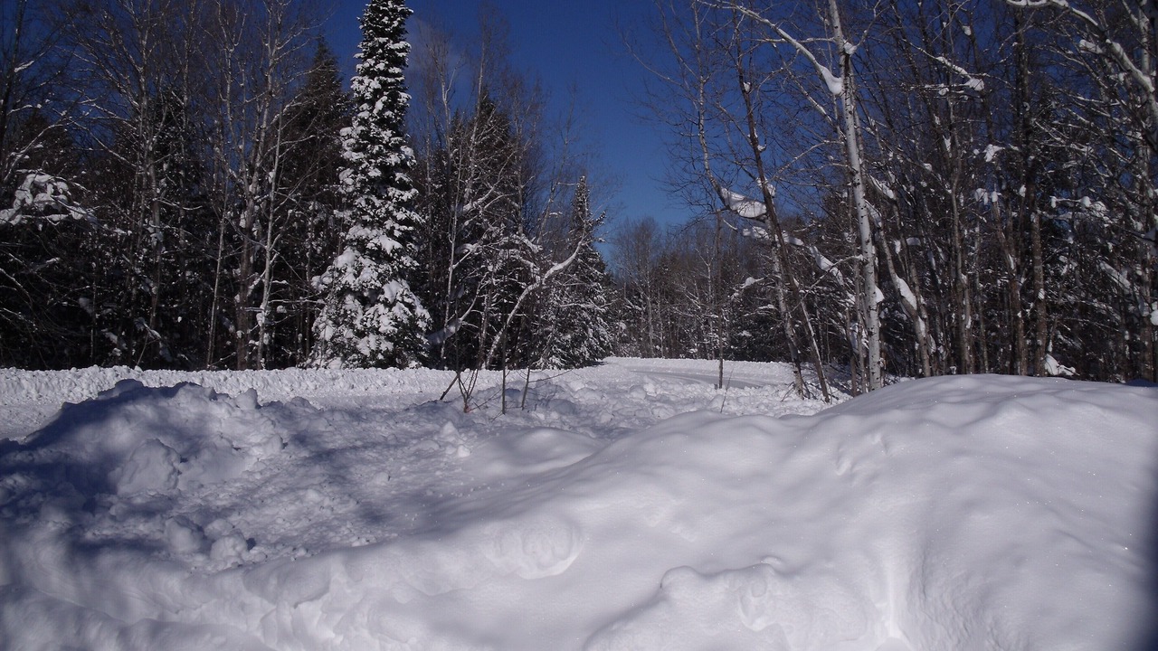 Photo of Others in Ontonagon