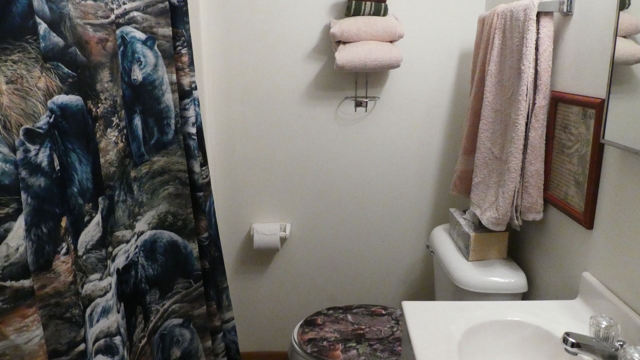 Photo of Bathroom in Ontonagon