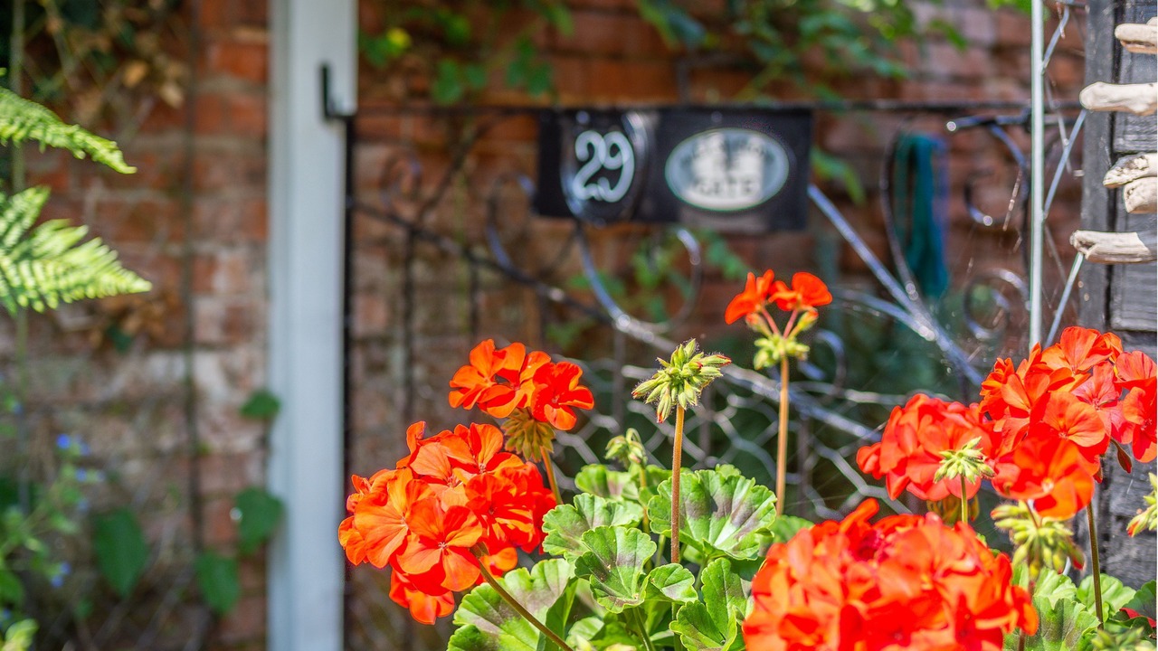 Photo of Outdoor in Wangford