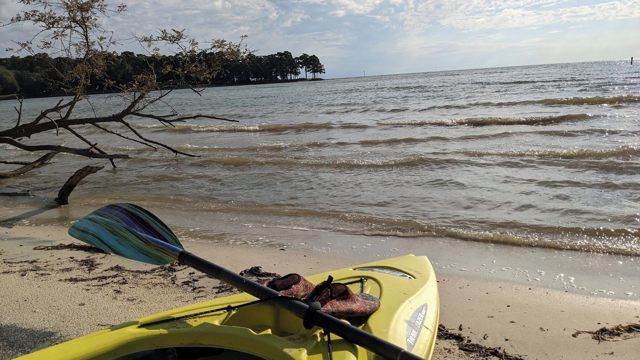 Photo of Others in Reedville