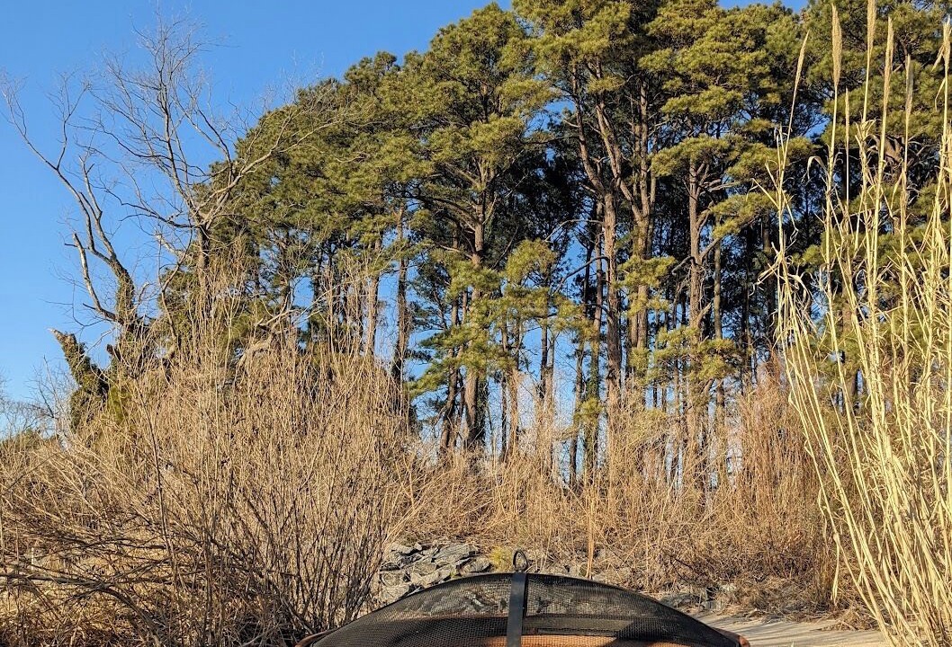 Photo of Outdoor in Reedville