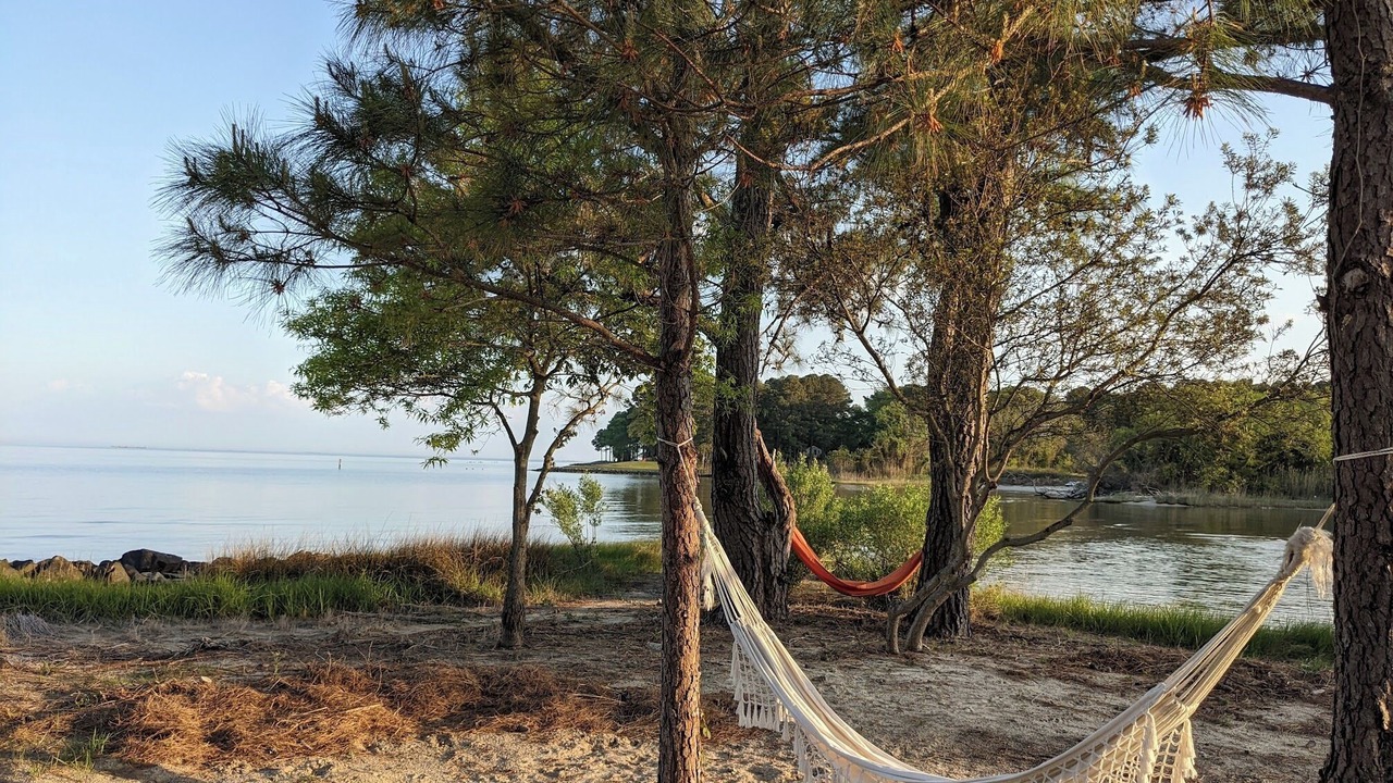Photo of Others in Reedville