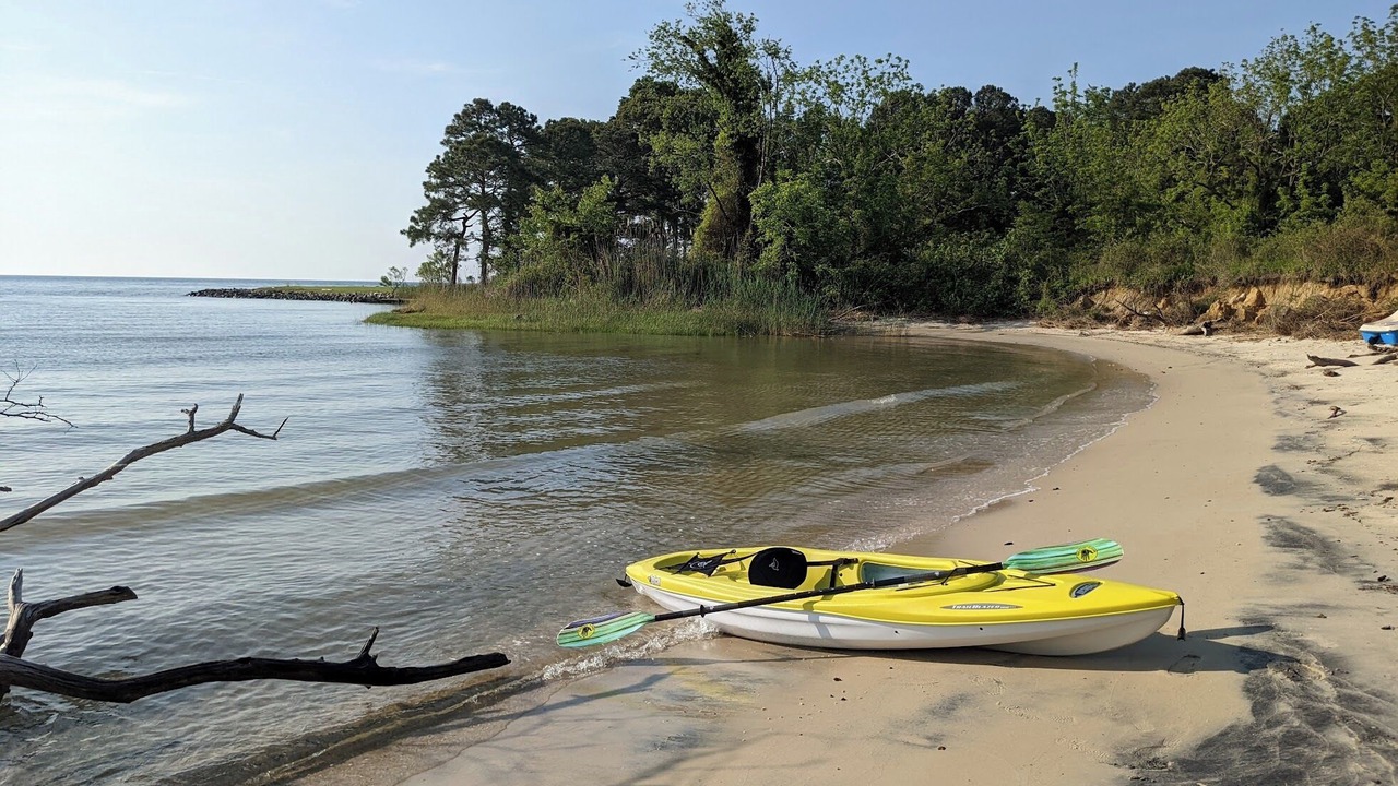 Photo of Others in Reedville