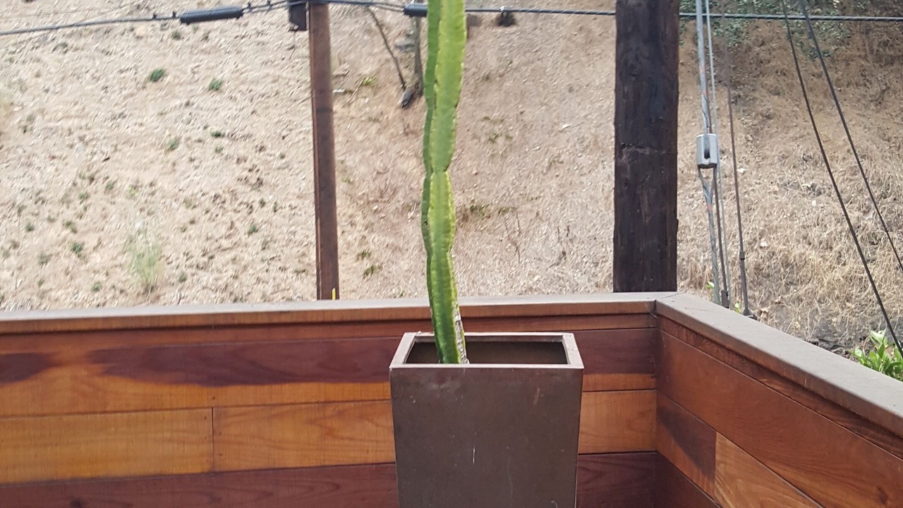 Photo of Outdoor in Beverly Glen