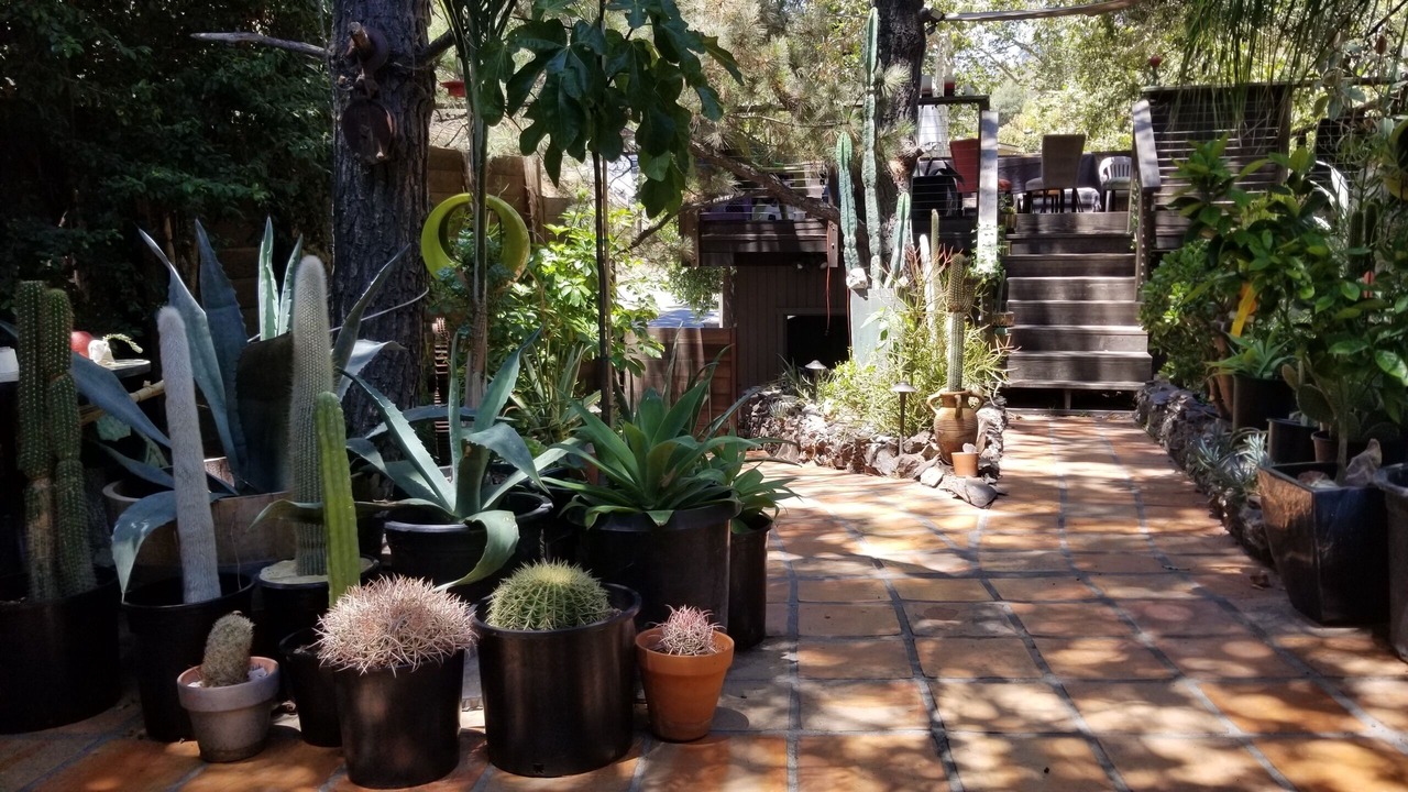 Photo of Outdoor in Beverly Glen