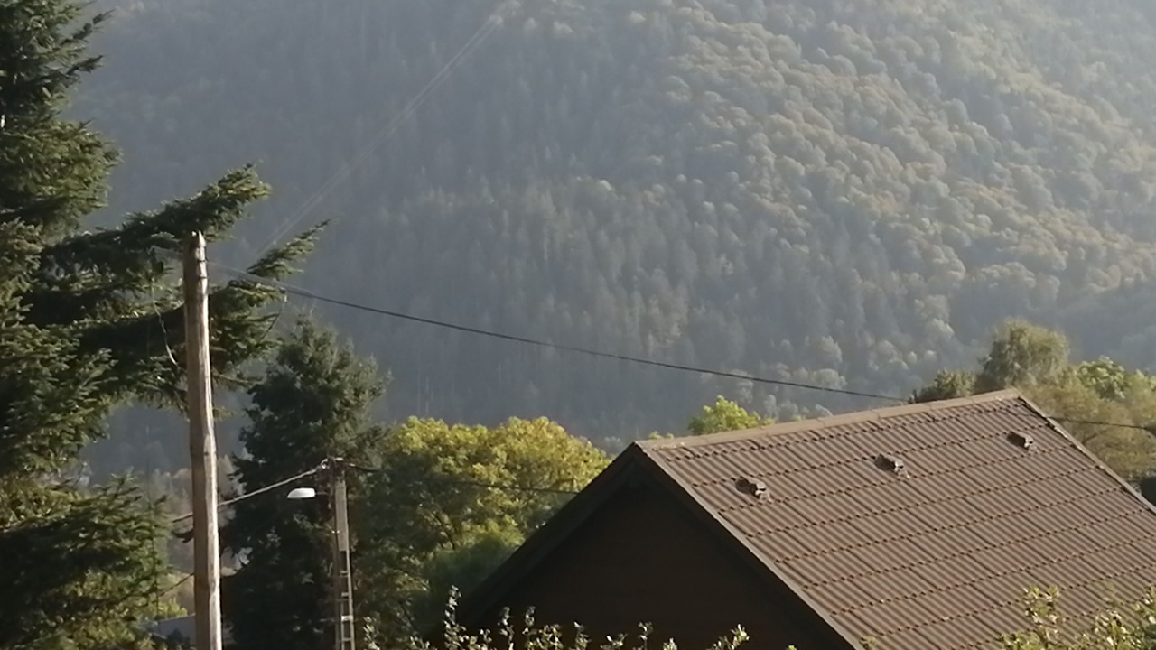 Photo of Outdoor in Murat-le-Quaire