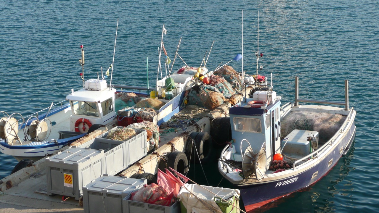 Photo of Others in Port-Vendres
