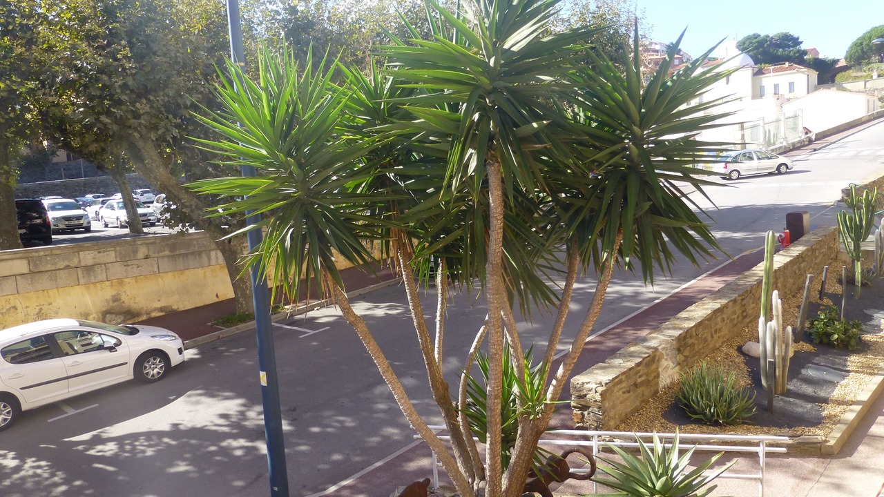 Photo of Outdoor in Port-Vendres