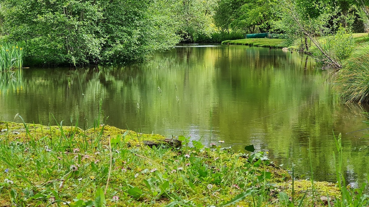 Photo of Outdoor in Savignac-de-Nontron