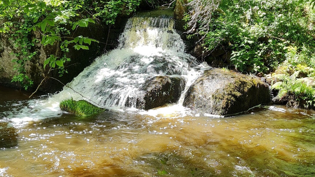 Photo of Others in Savignac-de-Nontron