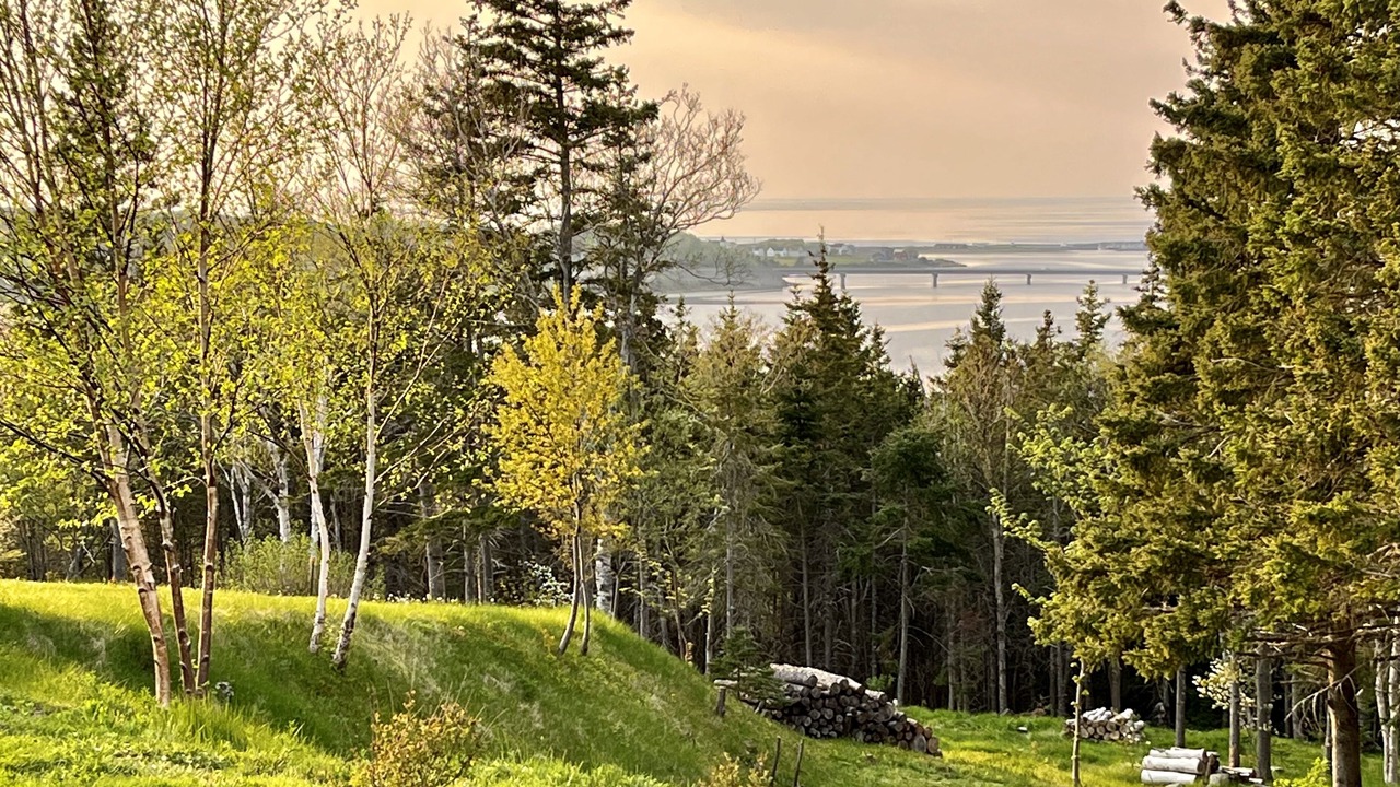 Photo of Others in Margaree Harbour