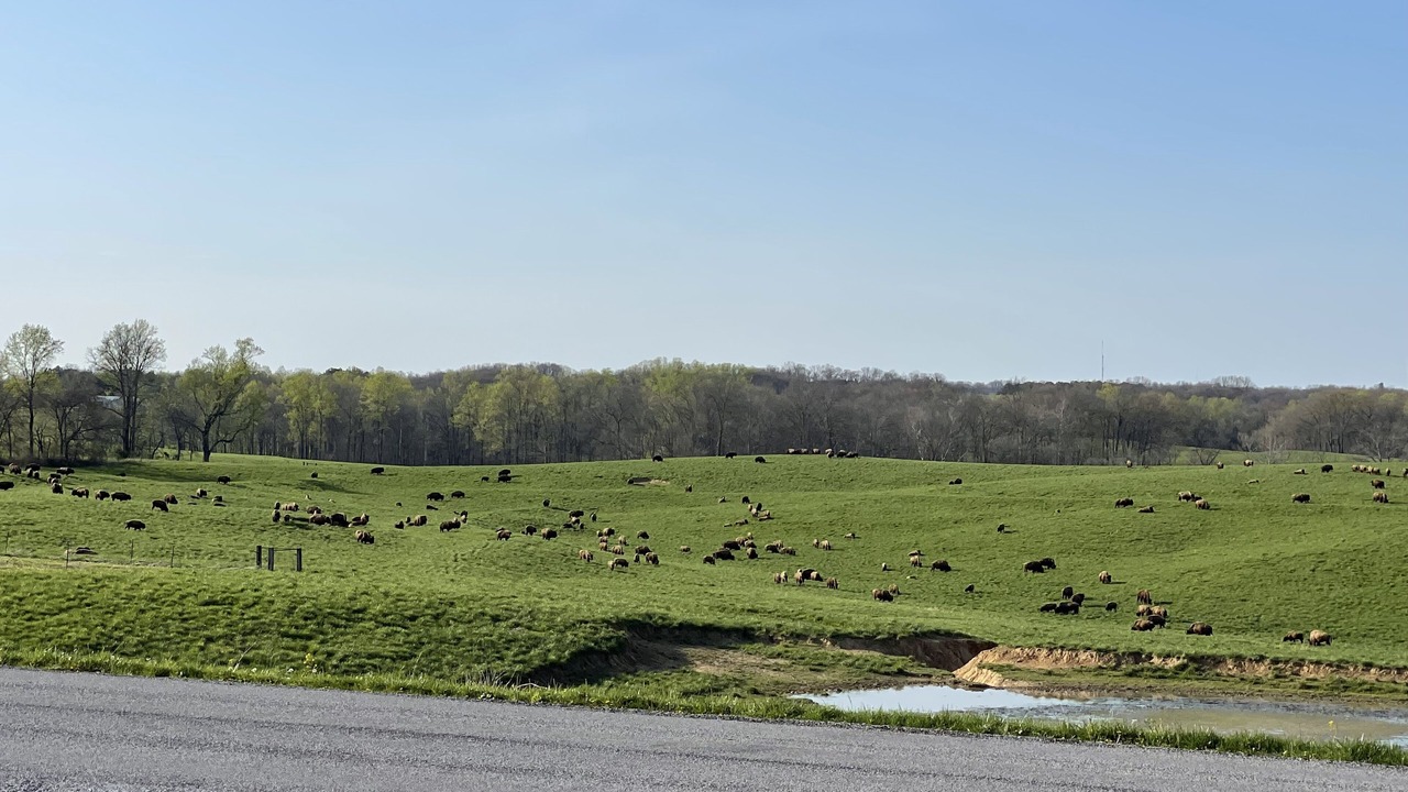 Photo of Others in Cobden