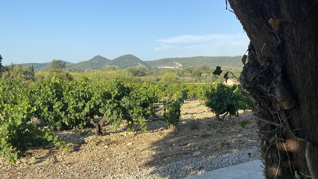 Photo of Outdoor in Sablet