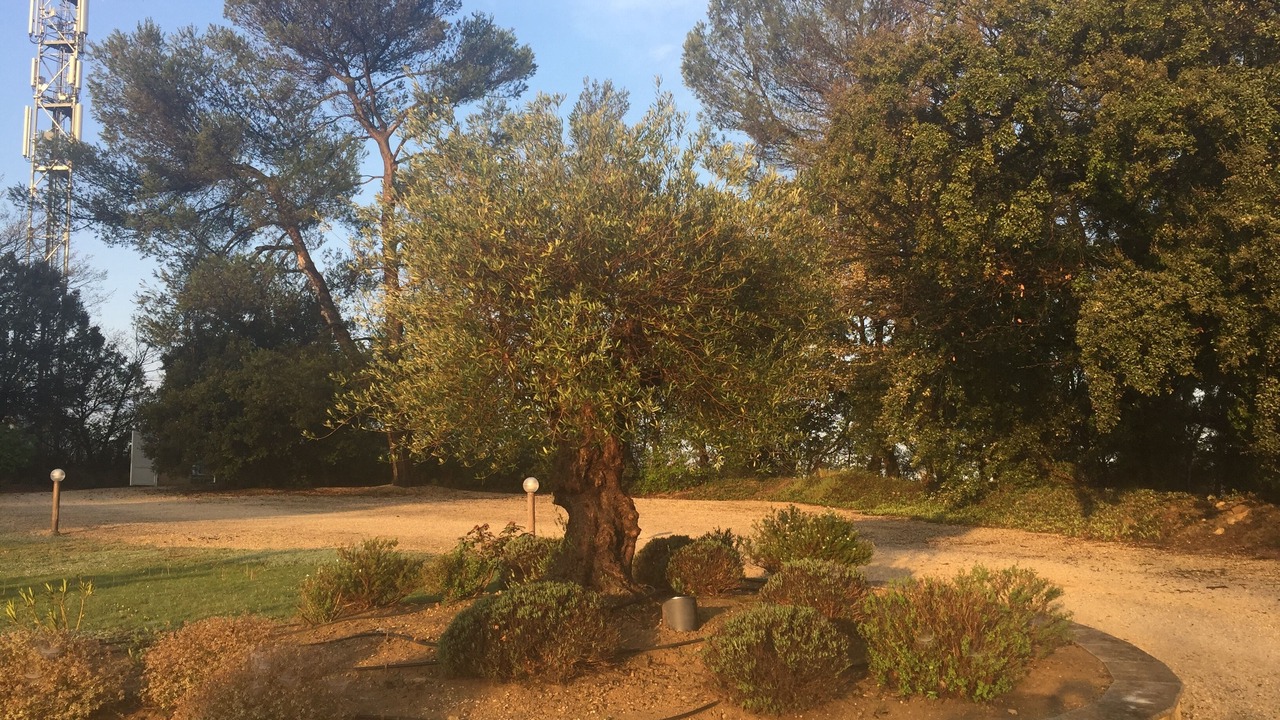 Photo of Outdoor in Fuveau