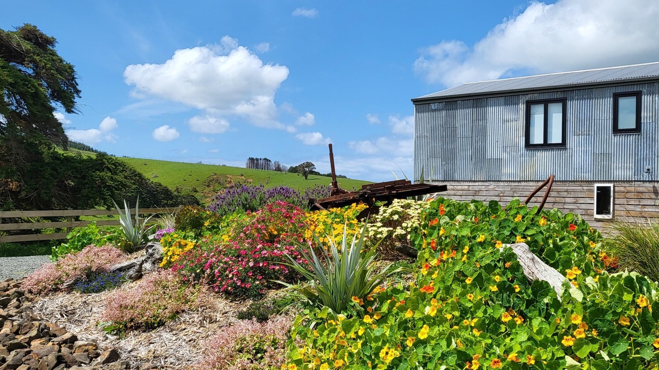 Photo of Outdoor in Wellsford