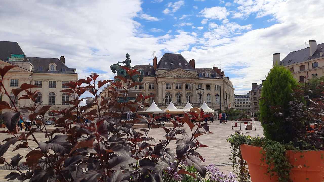 Photo of Others in Orleans