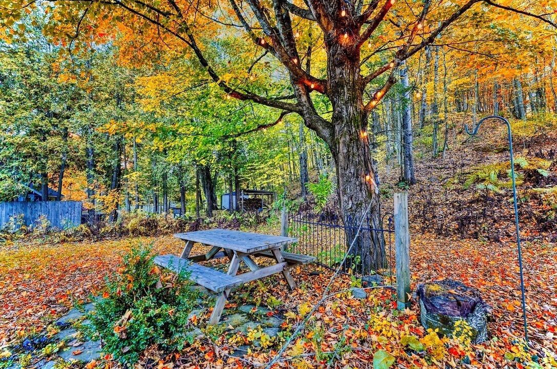 Photo of Outdoor in Ayers Cliff