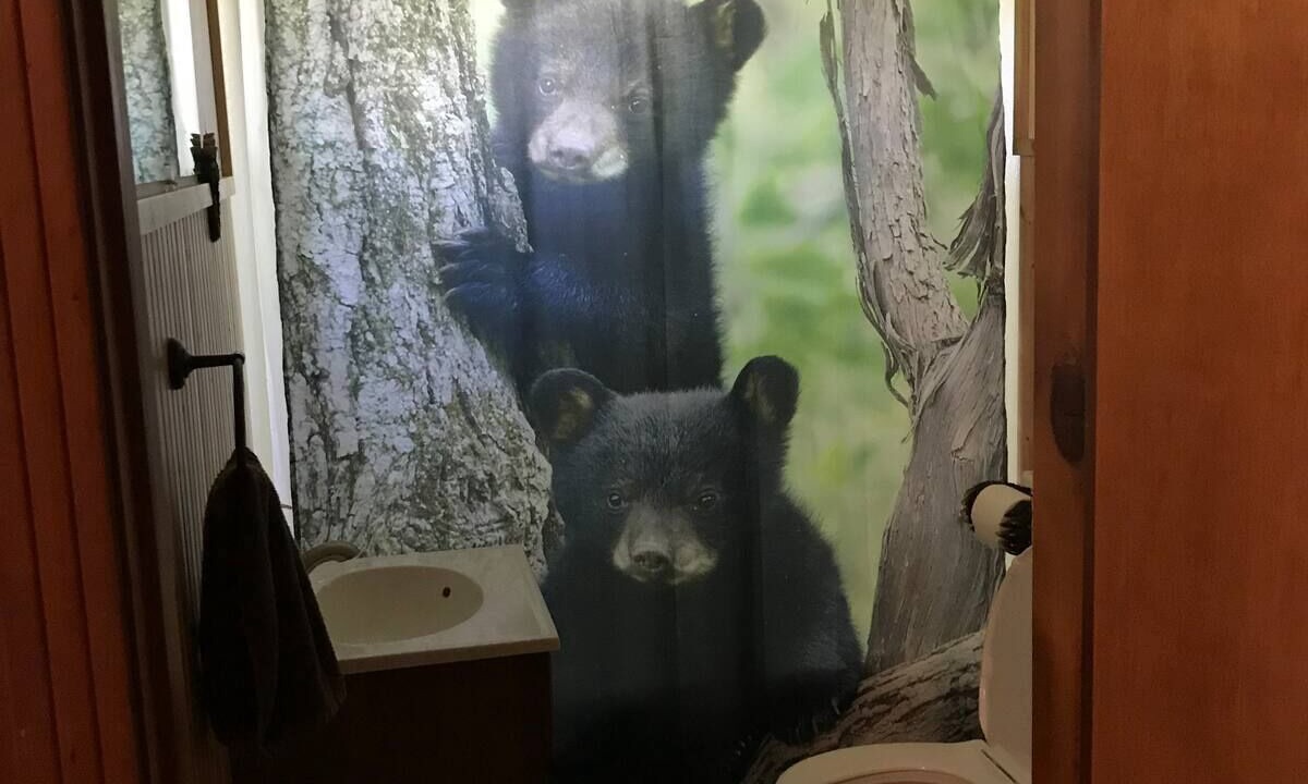 Photo of Bathroom in Jasper