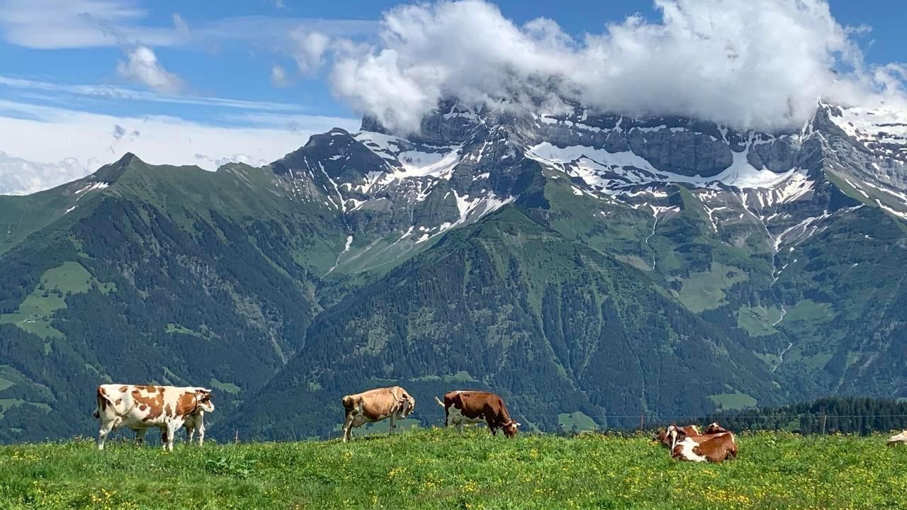 Photo of Others in Morgins