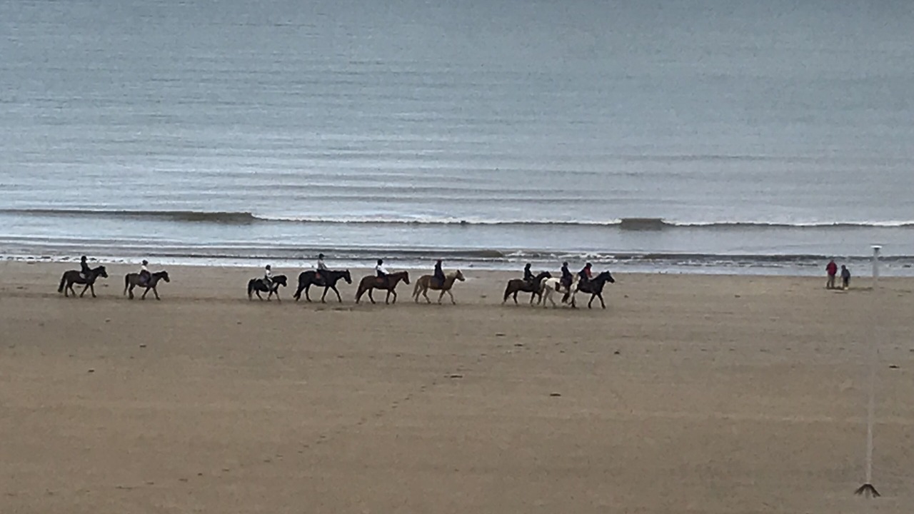 Photo of Others in Courseulles-sur-Mer