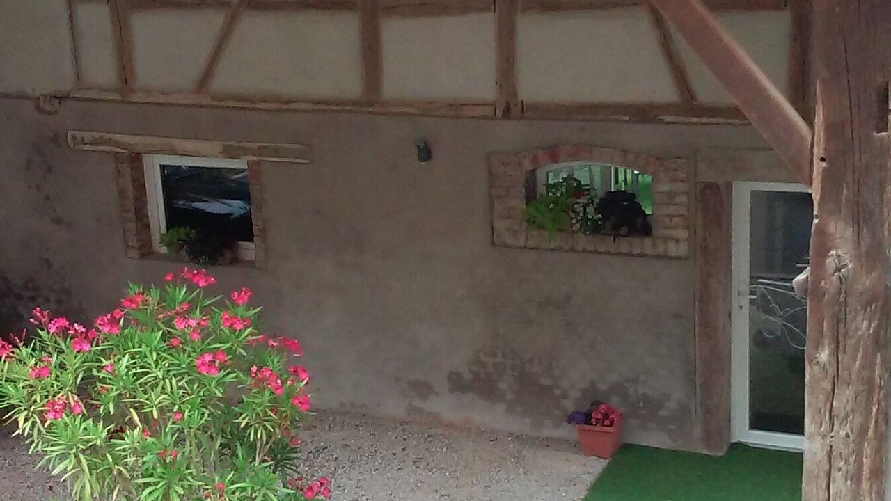 Photo of Outdoor in Epfig