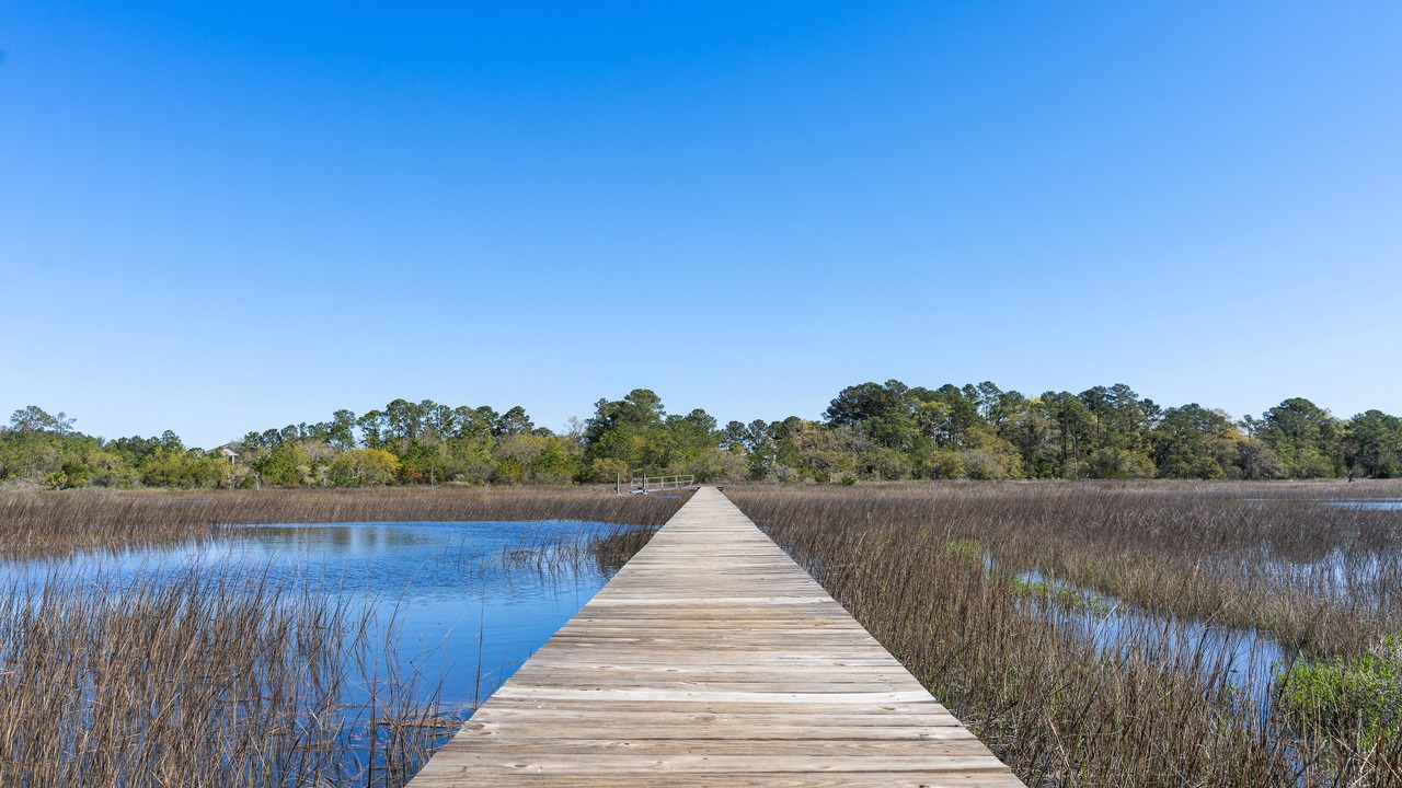 Photo of Others in Johns Island
